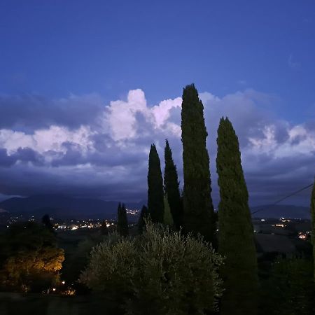 Villa The Green Door - Casa Vacanze Vicino A Roma Fonte Nuova Eksteriør bilde